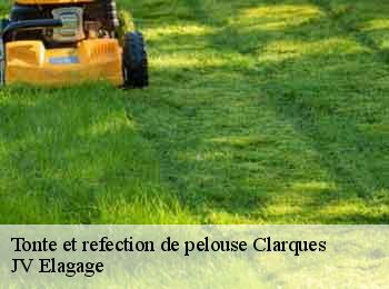 Tonte et refection de pelouse
