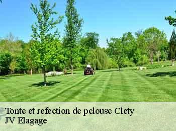 Tonte et refection de pelouse clety-62380 JV Elagage