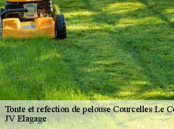 Tonte et refection de pelouse