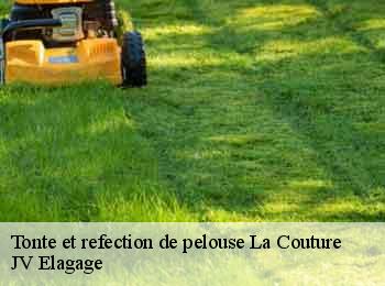 Tonte et refection de pelouse
