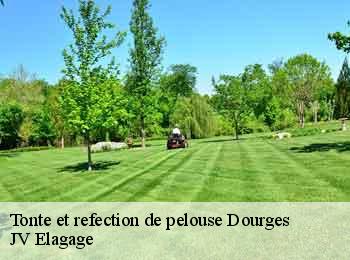 Tonte et refection de pelouse  dourges-62119 JV Elagage