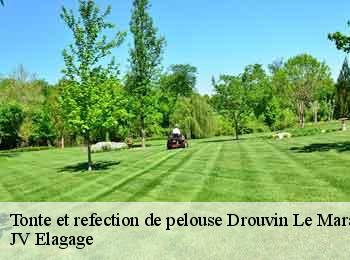 Tonte et refection de pelouse drouvin-le-marais-62131 JV Elagage
