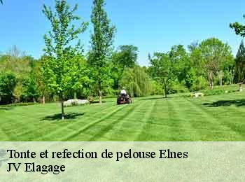 Tonte et refection de pelouse elnes-62380 JV Elagage