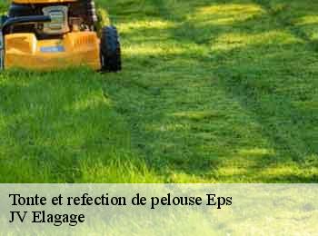 Tonte et refection de pelouse