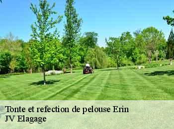 Tonte et refection de pelouse erin-62134 JV Elagage