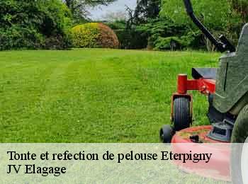 Tonte et refection de pelouse 62156