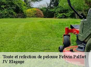 Tonte et refection de pelouse  62960
