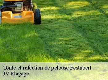 Tonte et refection de pelouse