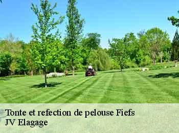 Tonte et refection de pelouse fiefs-62134 JV Elagage