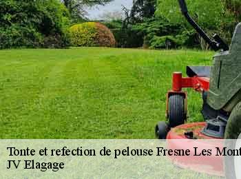 Tonte et refection de pelouse 62490