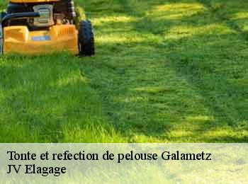 Tonte et refection de pelouse