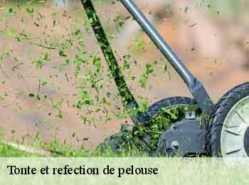 Tonte et refection de pelouse 62112