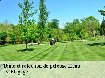 Tonte et refection de pelouse henu-62760 JV Elagage