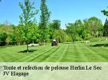 Tonte et refection de pelouse herlin-le-sec-62130 JV Elagage