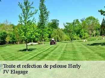 Tonte et refection de pelouse  herly-62650 JV Elagage