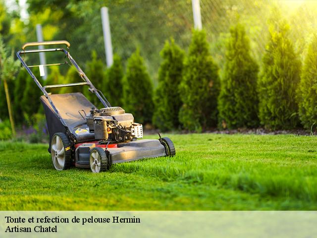 Tonte et refection de pelouse hermin-62150 Artisan Chatel
