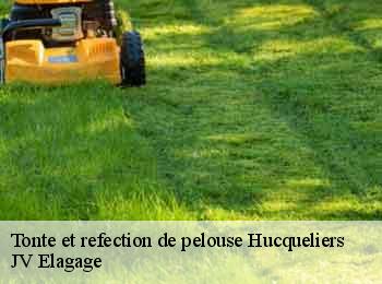Tonte et refection de pelouse