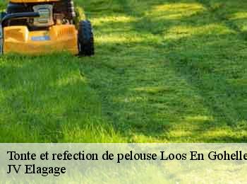 Tonte et refection de pelouse