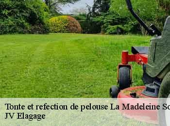Tonte et refection de pelouse  62170