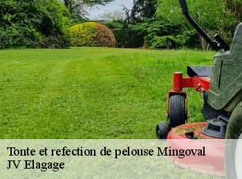 Tonte et refection de pelouse 62690