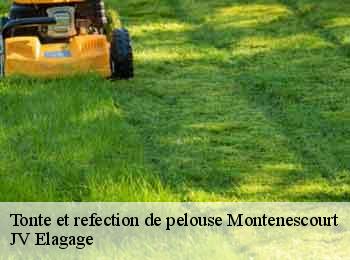 Tonte et refection de pelouse