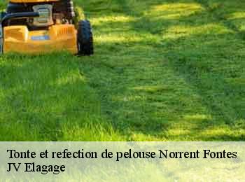 Tonte et refection de pelouse
