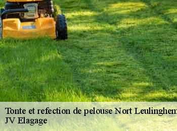 Tonte et refection de pelouse