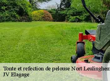 Tonte et refection de pelouse 62890