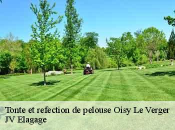 Tonte et refection de pelouse  oisy-le-verger-62860 JV Elagage