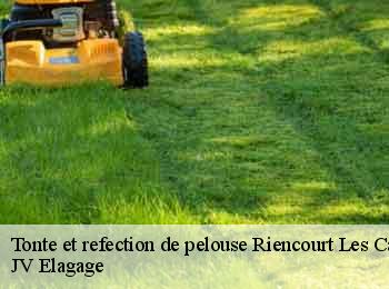 Tonte et refection de pelouse