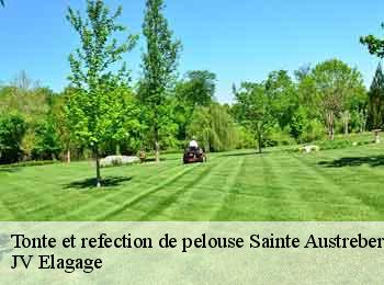 Tonte et refection de pelouse sainte-austreberthe-62140 JV Elagage