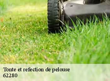 Tonte et refection de pelouse 62280