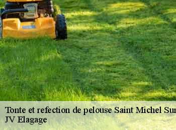 Tonte et refection de pelouse