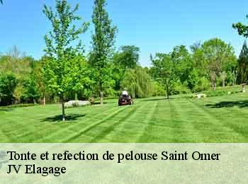 Tonte et refection de pelouse saint-omer-62500 JV Elagage