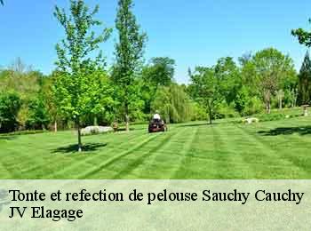 Tonte et refection de pelouse sauchy-cauchy-62860 JV Elagage