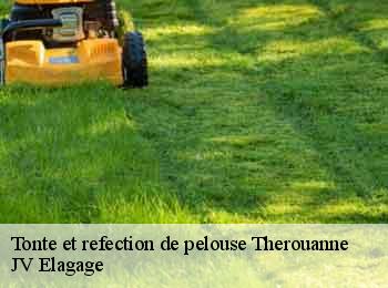 Tonte et refection de pelouse