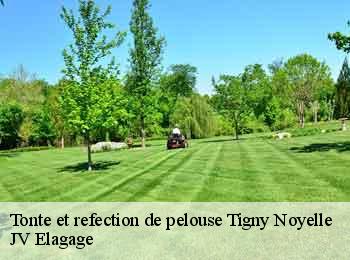 Tonte et refection de pelouse tigny-noyelle-62180 JV Elagage