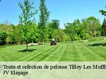 Tonte et refection de pelouse tilloy-les-mofflaines-62217 JV Elagage