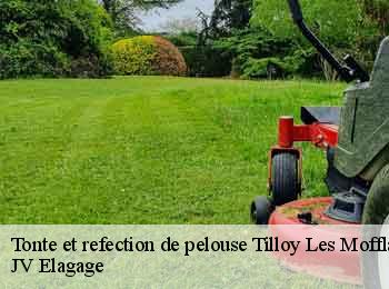 Tonte et refection de pelouse 62217