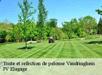 Tonte et refection de pelouse vaudringhem-62380 JV Elagage