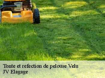 Tonte et refection de pelouse