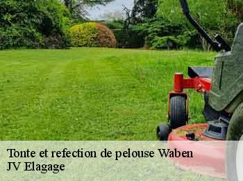 Tonte et refection de pelouse 62180