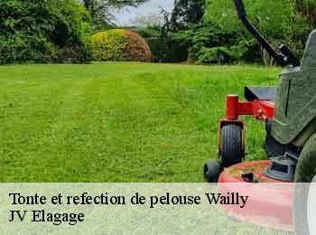Tonte et refection de pelouse  62217