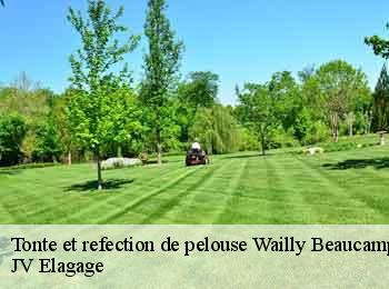 Tonte et refection de pelouse wailly-beaucamp-62170 JV Elagage