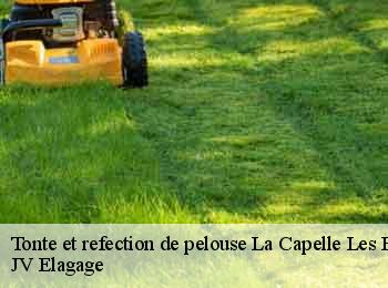 Tonte et refection de pelouse