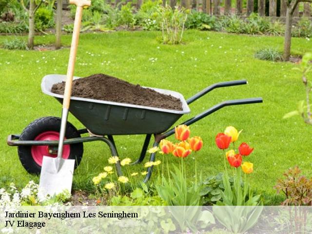 Jardinier bayenghem-les-seninghem-62380 JV Elagage
