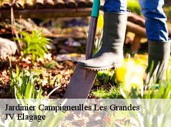 Jardinier campigneulles-les-grandes-62170 JV Elagage