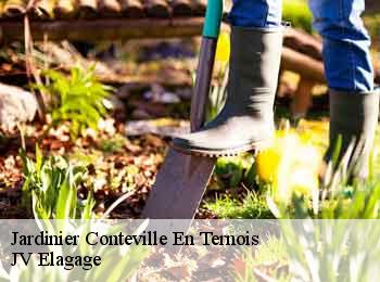 Jardinier  conteville-en-ternois-62130 JV Elagage