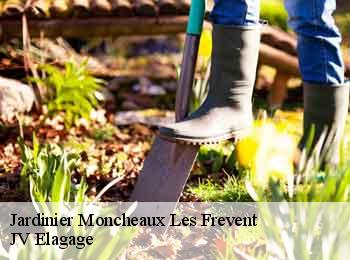 Jardinier  moncheaux-les-frevent-62270 JV Elagage